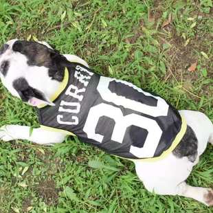 法斗夏季篮球网眼背心恶霸犬巴哥沙皮京巴牛头梗斗牛狗狗衣服