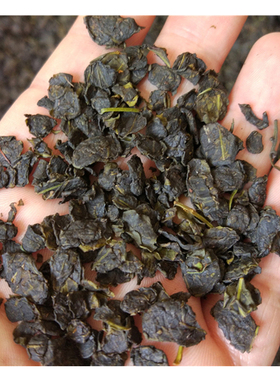 2025样品派茶雪峰山野生多穗石柯木姜叶柯包邮赠送试茶