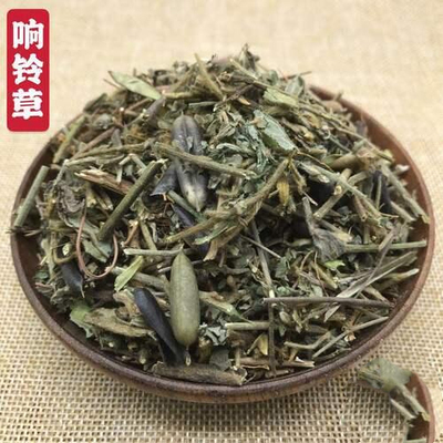 野生响铃草响灵草马响铃响铃豆假花生中药材