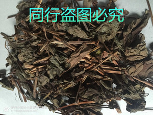 中药材农村鱼腥草 折耳根 500克