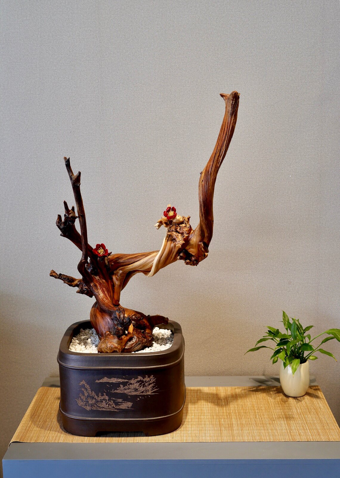 太行崖柏摆设盆景红油虎皮陈化风水客厅玄关家居禅意摆件木雕根雕