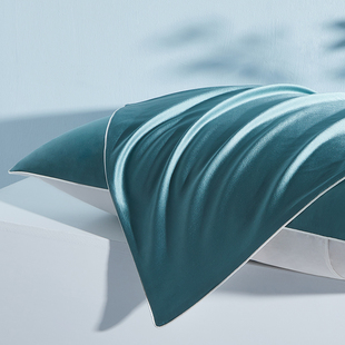 慈云100%桑蚕真丝枕套枕头套枕巾单面丝绸单人加厚19姆米成人