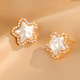 Luxury Star Earrings Pearl Minimalist Zircon Studs