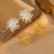 Chic Firework Luxury Micro Set Stud Earrings