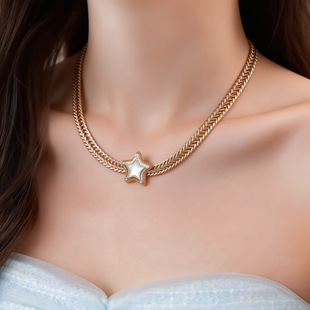 Minimalist Metal Chain Shell Zircon Star Necklace