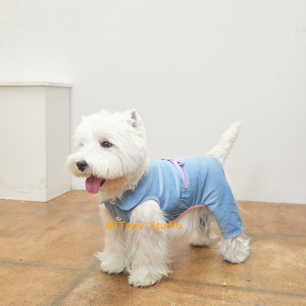 现货韩国mereconte可爱狗狗狗狗