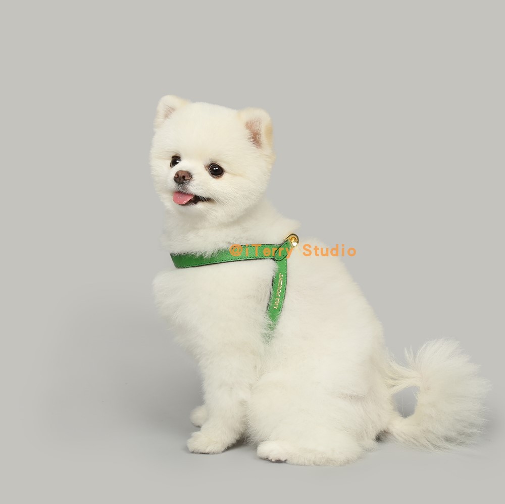 预定高端品牌真皮正反双面狗狗