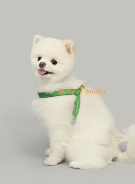 [现货]韩国lilipouent高端设计师品牌真皮狗狗正反双面胸背通用