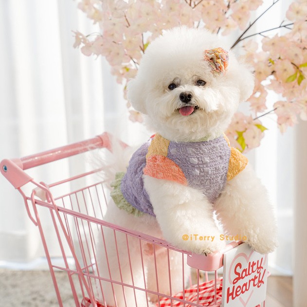 现货韩国春夏新款狗狗郊游透气