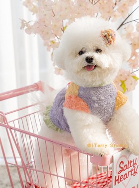 [现货]韩国SALTYHEARTY2021春夏新款狗狗郊游可爱透气高弹花边裙