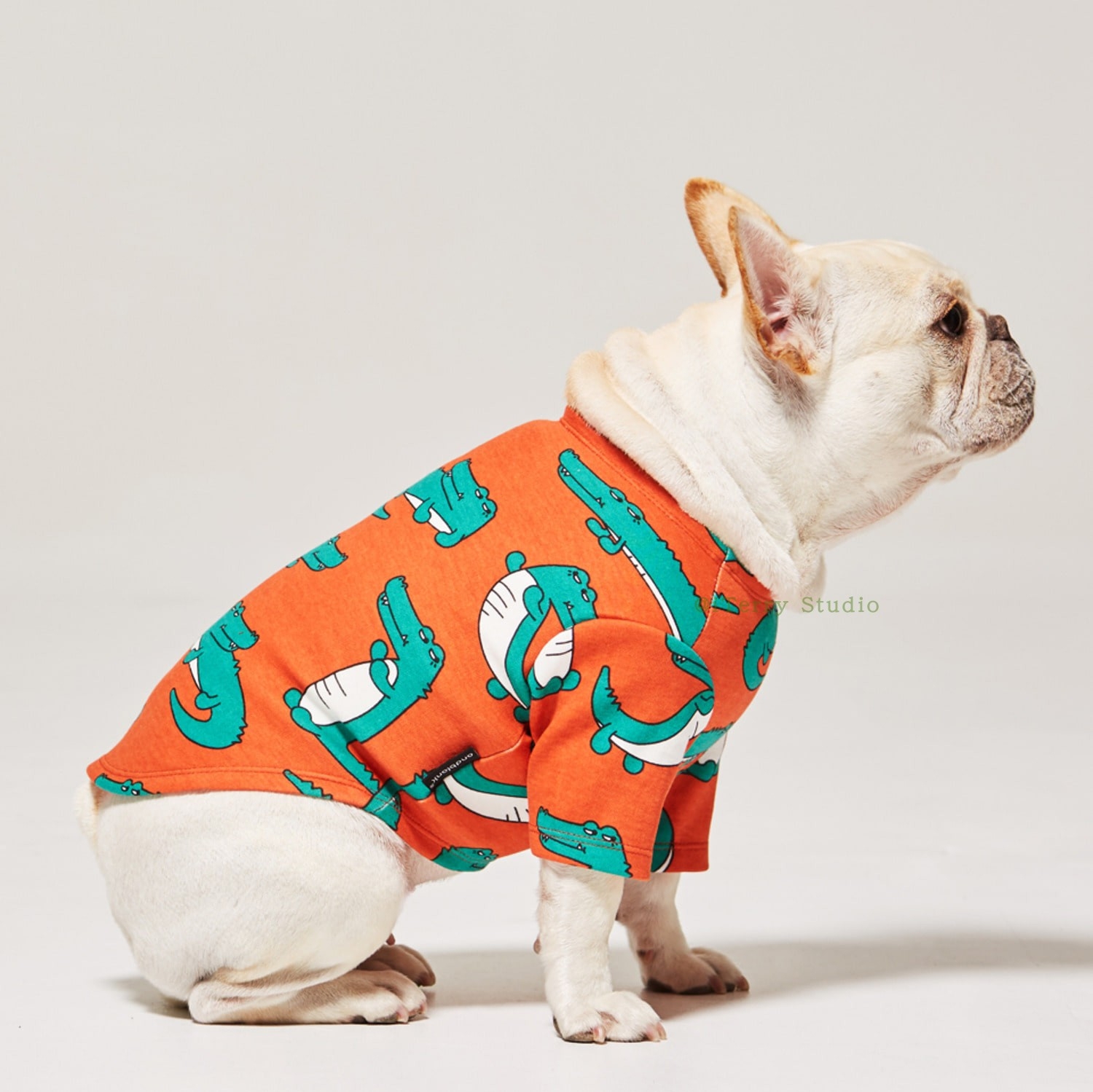 韩国居家服纯棉比熊terry同款