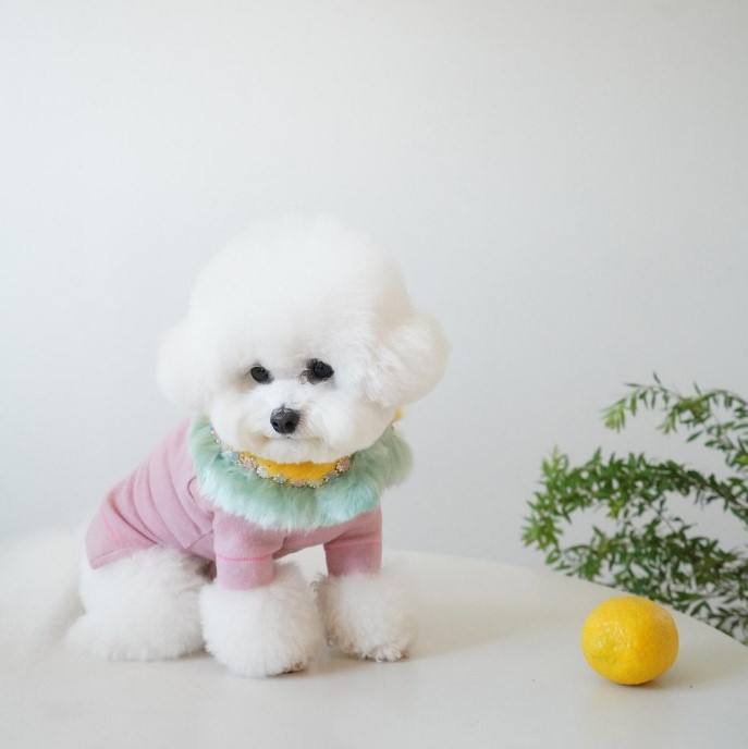 韩国设计师内搭打底衫现货]