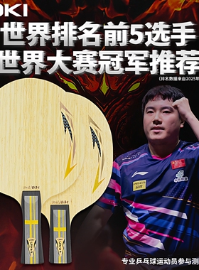LOKI雷神锐龙U2外置周雨蓝芳碳ALC蝴蝶VIS梁靖崑乒乓球专业底板