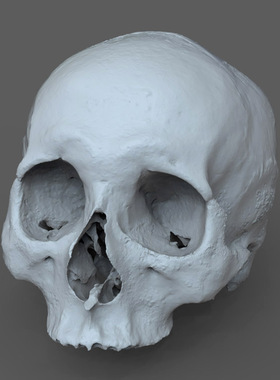 3d打印图纸模型素材OBJ骷髅头骨STL摆件圆雕图F2705