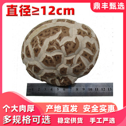 特产大冬花菇超10-12cm以上香菇500g干货天白农家商用食用菌蘑菇