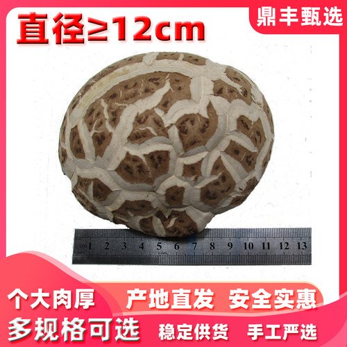 随州特产大冬花菇干货香菇