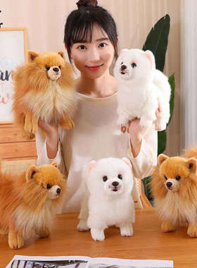 仿真狗博美犬毛绒玩具公仔玩偶布娃娃男女孩儿童生日礼物摆件道具