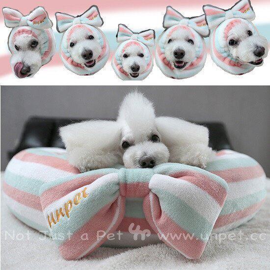 宝眷宠物猫狗窝 清新彩虹条纹深度睡眠舒服圆窝 巨贵大狗可用