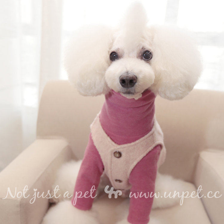 热卖 宠物衣服 宝眷狗狗高领打底 柔软薄绒春季百搭日系长袖衫