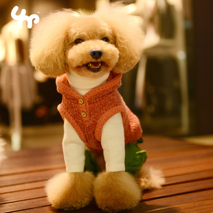 宝眷狗狗衣服猫咪喜庆红色羊毛马甲连帽衫中小型犬泰迪比熊百搭款