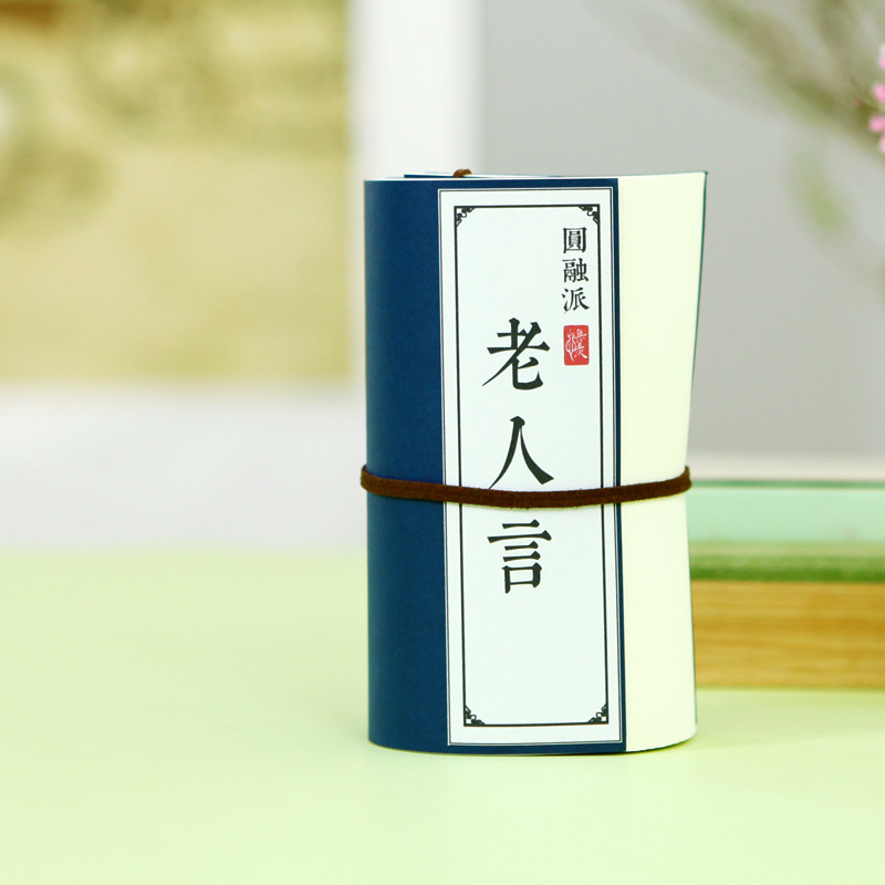 老人言国学未删减字帖白话译文描红手抄写本子古风楷书硬笔练字帖