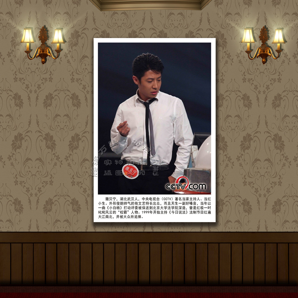 ÖÐÑëµçÊǪ́¡¡ÖøÃûÖ÷³ÖÈ˺£±¨¡¡Éú»îÕÕÆ¬¡¡CCTVÈö±´Äþ
