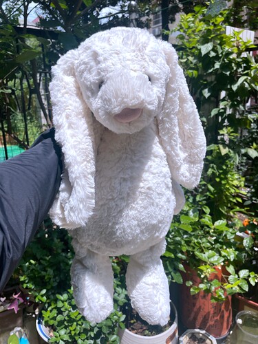 奶油邦尼害羞兔子公仔 51CM 超值价