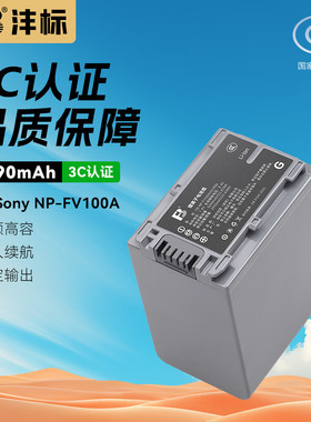 沣标NP-FV100 FV70 FV50电池索尼PJ675/610E AX45 CX610摄像机680