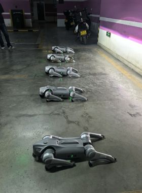 宇树Unitree机器狗GO2免押出租全国可租