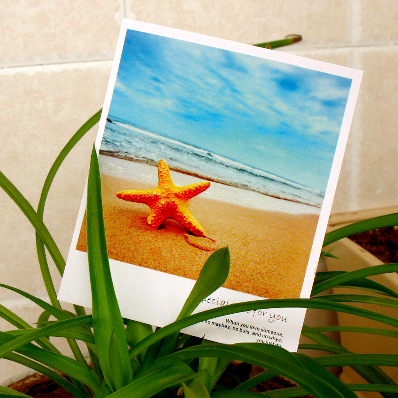 lomo风格小卡片 小清新明信片贺卡祝福留言卡节日礼品卡 海星海岸