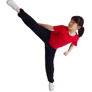 儿童武术裤春夏莫代尔高弹力成人练功裤短袖灯笼裤练武功夫表演服