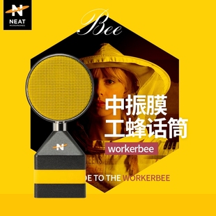 工蜂 BEE 话筒中振膜 晶体管录音主播 麦克风 NEAT 录音 WORKER