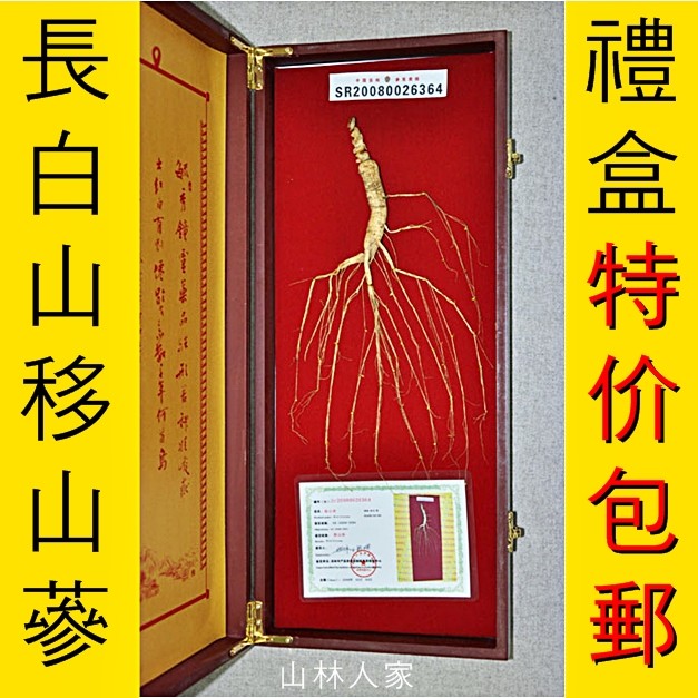 东北长白山野山参 移山参 高实木礼盒 地方检带证包邮