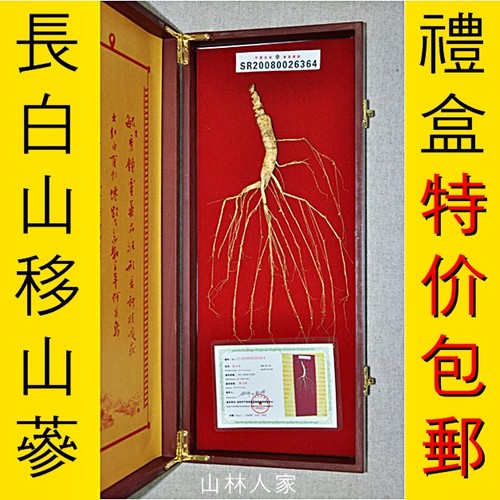 东北长白山野山参 移山参 高实木礼盒 地方检带证包邮