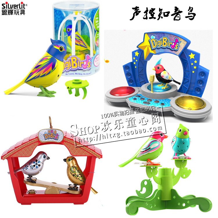 会唱歌的小鸟银辉知音鸟声控