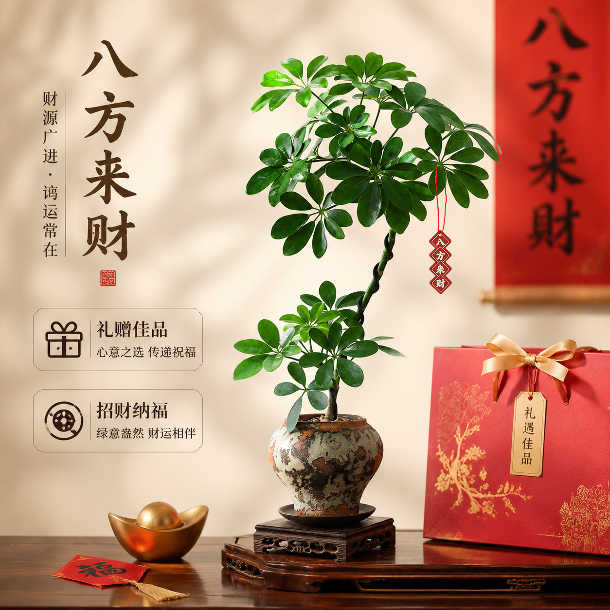 老桩造型鸭脚木客厅大盆栽开业乔迁礼物好养绿植物八方来财鸭掌木