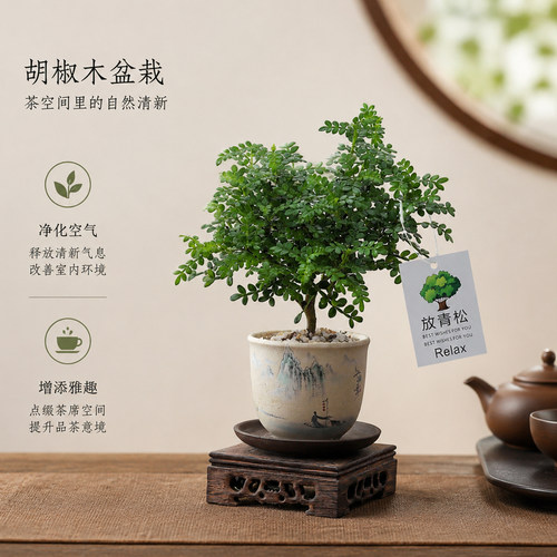 家养胡椒木蚊子绕道跑