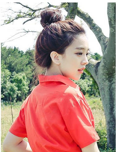 Extension cheveux - Chignon - Ref 228671 Image 1