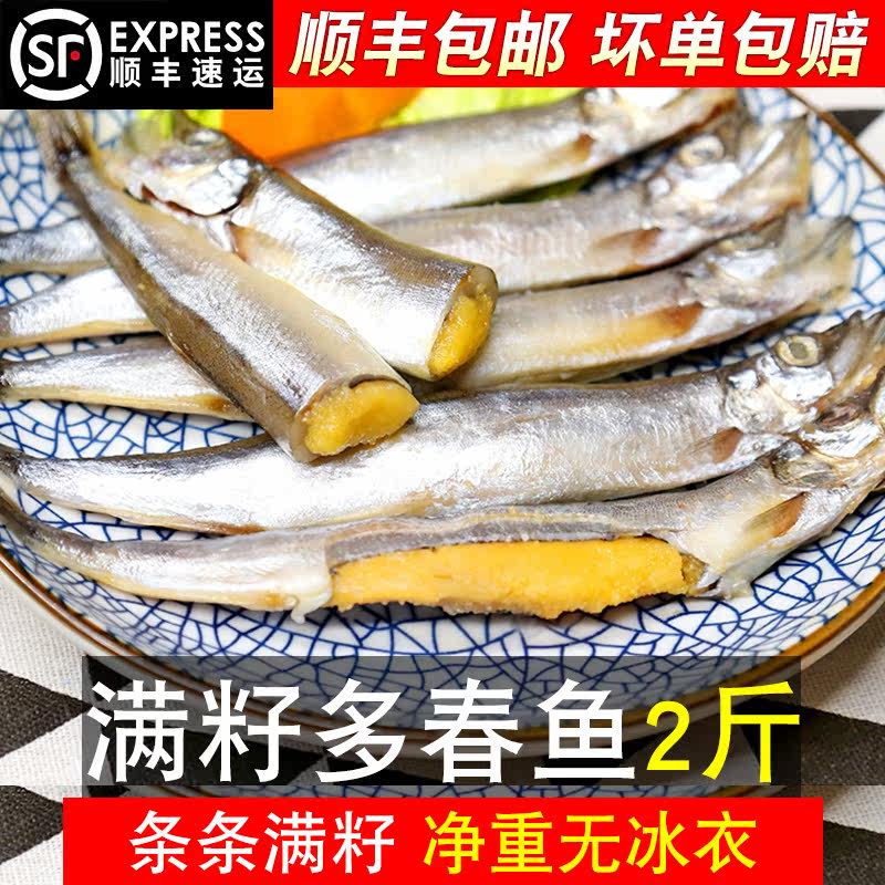 新鲜2斤多春鱼满籽鲜活海鲜生鲜水产烧烤食材特大冷冻海鱼顺丰
