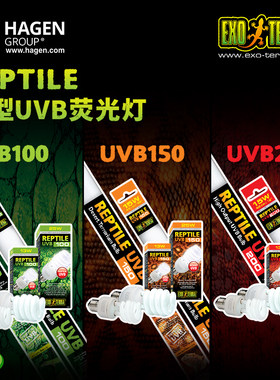 照明灯泡EXOTERRA灯具