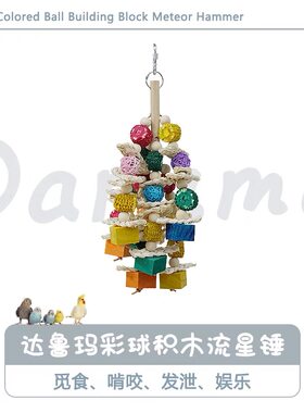 达鲁玛鹦鹉啃咬玩具彩球积木流星锤觅食娱乐啃咬玩耍CG鹦鹉工作室
