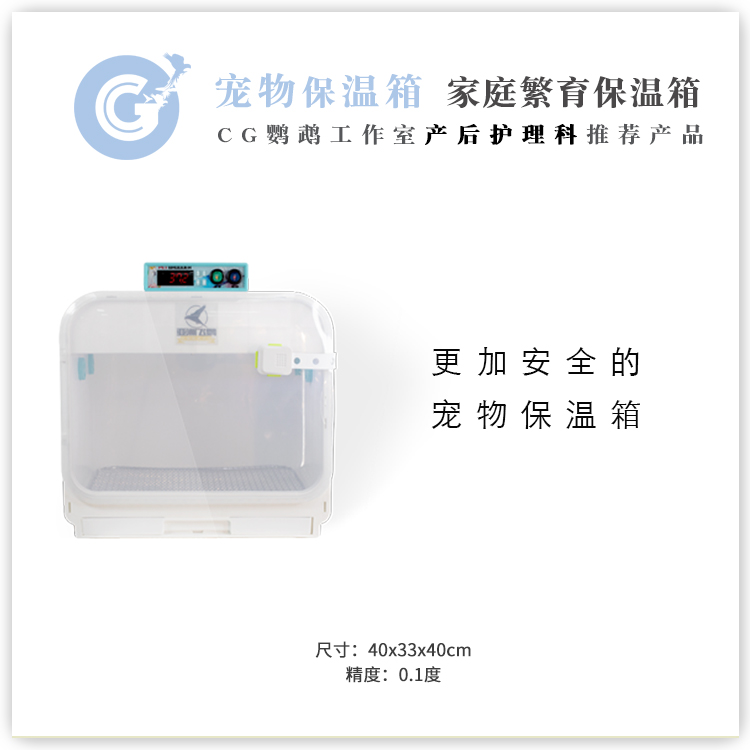 亚洲飞鹰保温箱保温箱鹦鹉