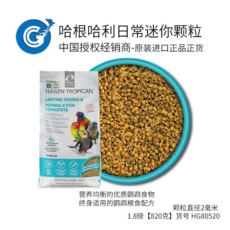 试吃-分装链接：哈根哈利滋养丸日常高能2mm4mm试吃装 CG鹦鹉图片