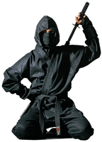 Сервисная служба Ninja Profession