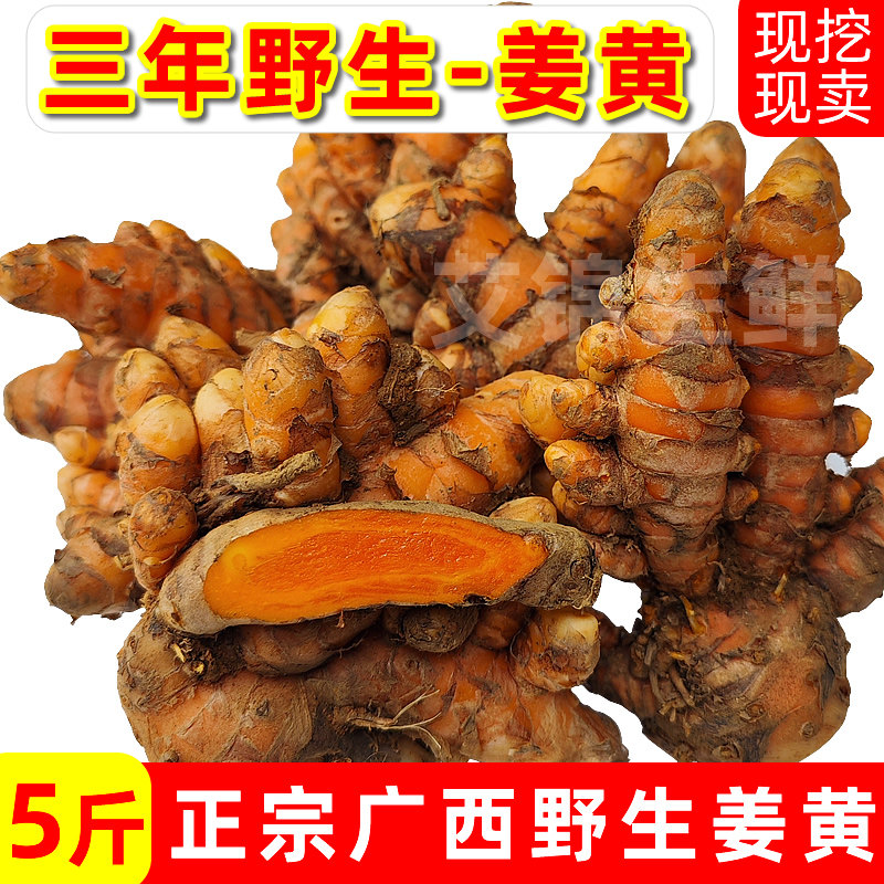 姜黄新鲜广西老姜黄新鲜月子姜食品染色姜药姜咖喱小黄姜鸡汤不辣