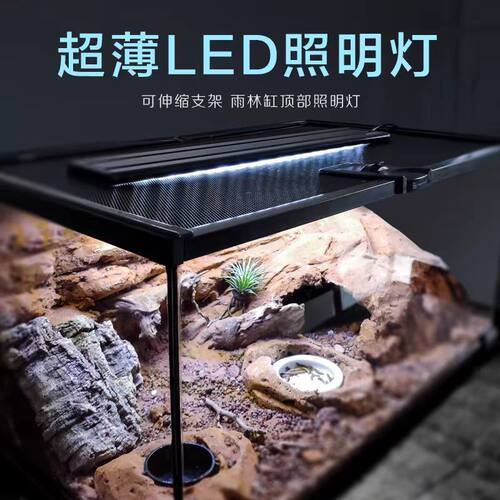 雨林缸支架防水led自然光弱光灯
