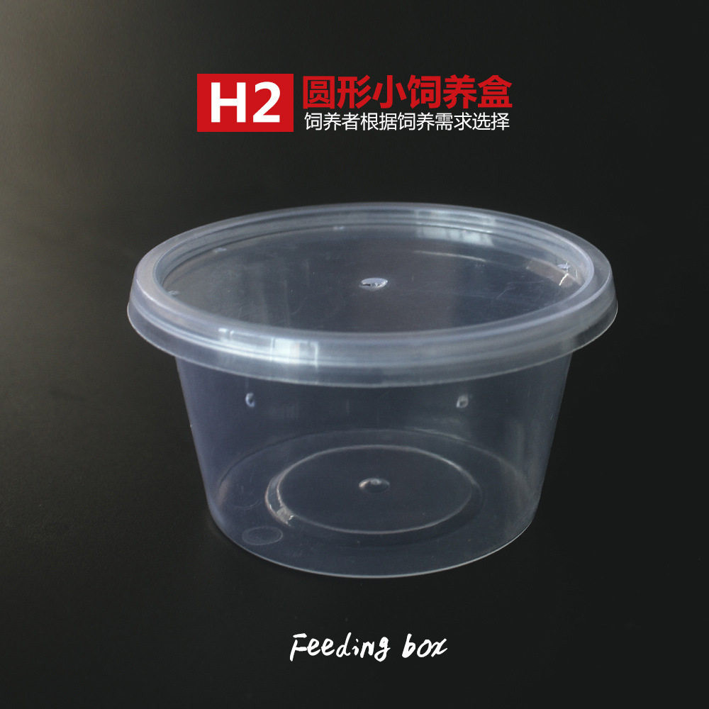 H2爬宠蛇蟒蜘蛛守宫蜥蜴蝎子蜈蚣角蛙昆虫苗子饲养盒孵化盒打包盒