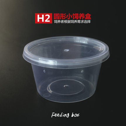 H2爬宠蛇蟒蜘蛛守宫蜥蜴蝎子蜈蚣角蛙昆虫苗子饲养盒孵化盒打包盒