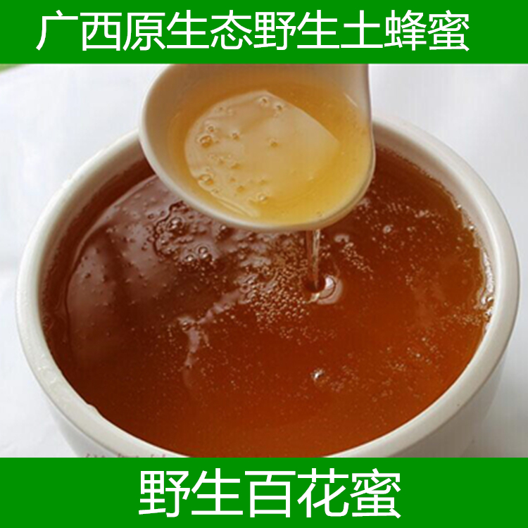 2025年新蜜 广西农家自产自销天然野生土蜂蜜深山百花蜜500g