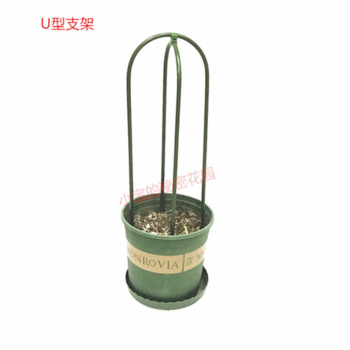 园艺爬藤花支柱莲月季金银花